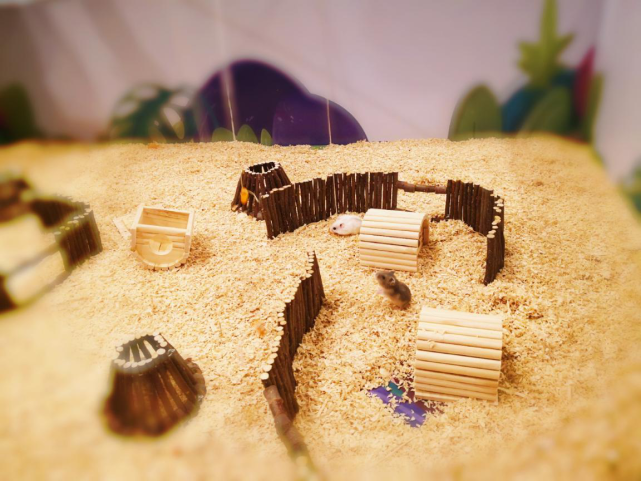 中秋钜惠不负期待 诚意登记全城盛启