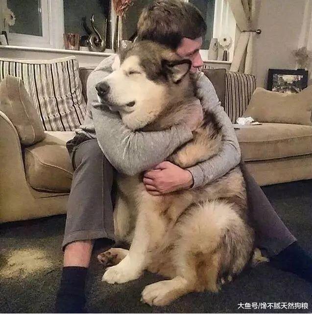 别藏了！你肯定有狗，养狗人的五大特征，你暴露了吗？