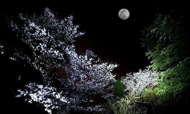 今年最后一次超级月亮