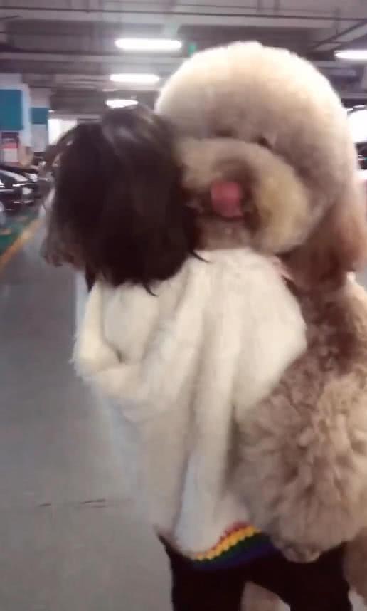 美女抱着大型玩具狗, 网友看着不对劲, 走近看之后发现原来是真狗
