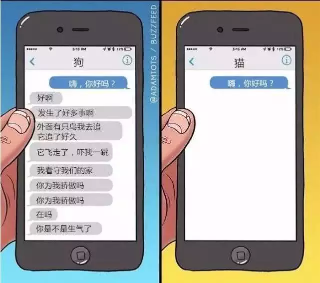 外国小哥实力演绎养狗和养猫的区别，太形象生动了