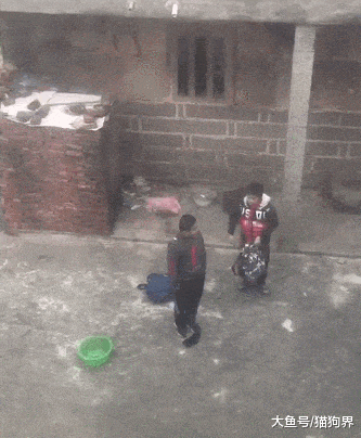 几个男孩捡到一只小狗, 怕家长骂不敢带回家, 只好放在老房子里养