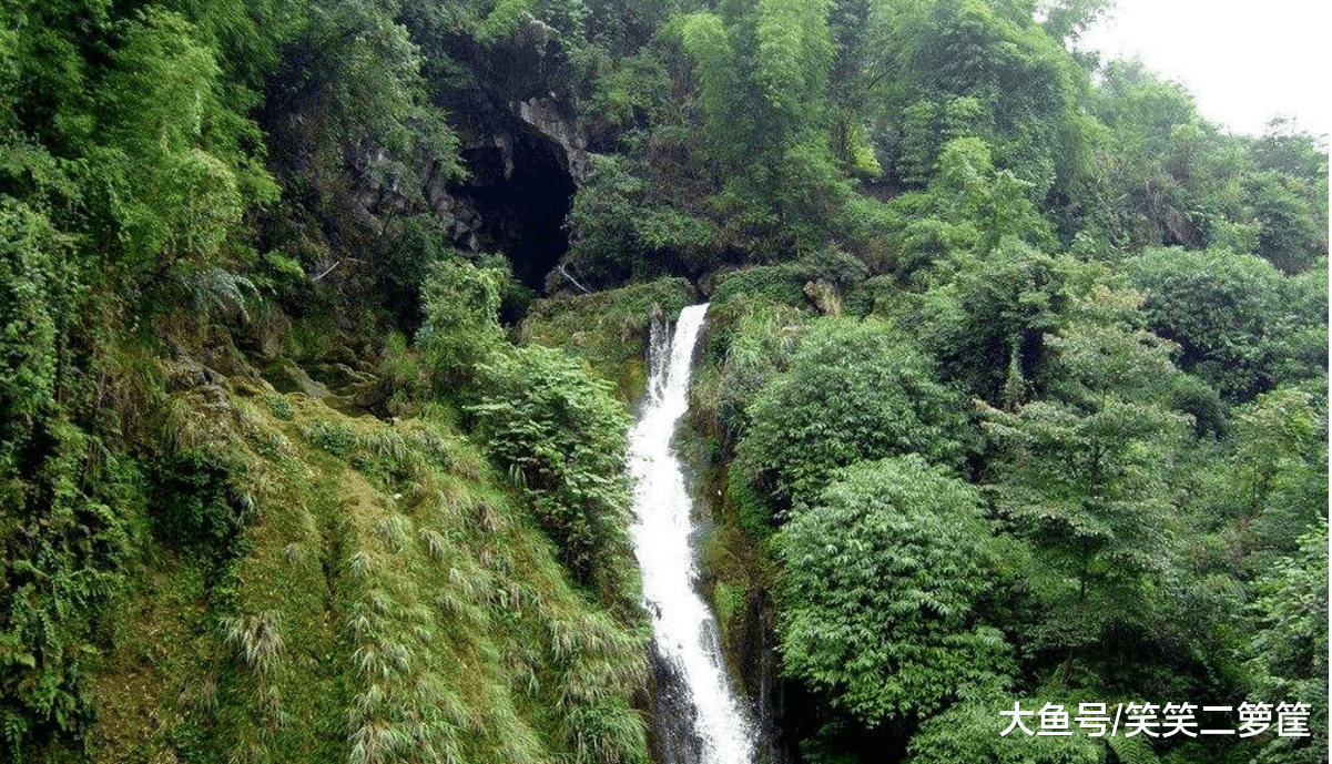 社區里人影來往，好像很忙碌的樣子