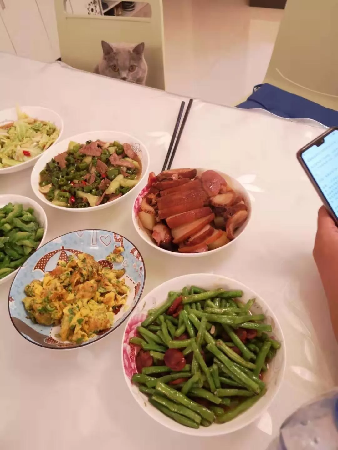 大肥猫钻进主人买的小屋却不高兴了，原因是因为塞不下去...