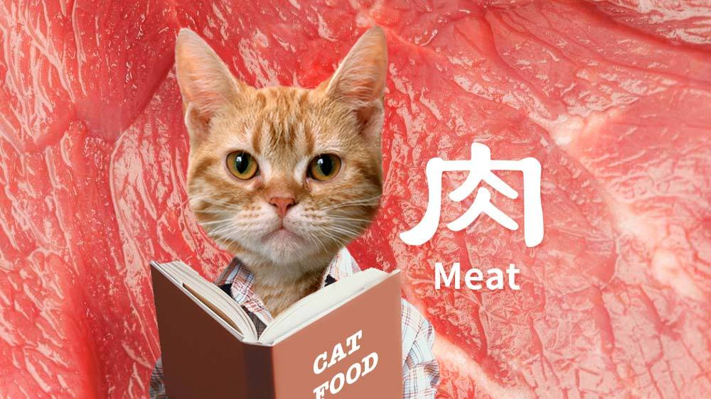 养猫之后听过最大的谎言：猫是纯肉食动物