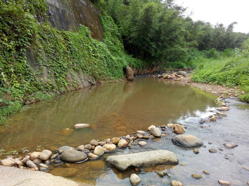 深山溪流钓，马口鱼连杆，偶遇“小青”被吓到