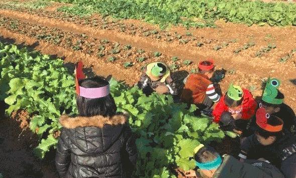 郭晶晶育儿有一套，“虎妈”式育儿有多妙？论接触大自然的重要性