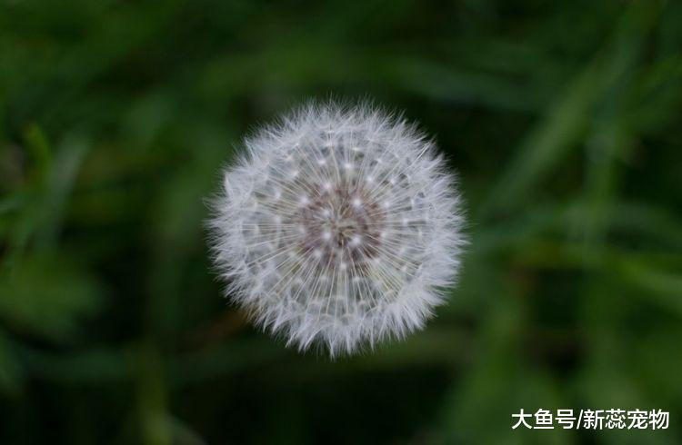 财神带来好福气，未来9天踢走霉运，3生肖日子越来越富裕