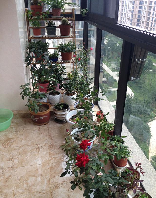 晒晒三室一厅130平欧式风格的新家，家具还没全进场