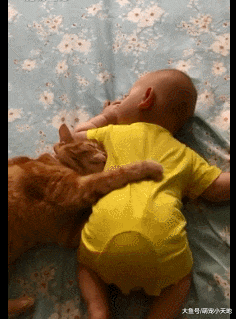 2岁橘猫帮忙哄小孩用肉掌拍背超温柔，超有爱画面让人全融化