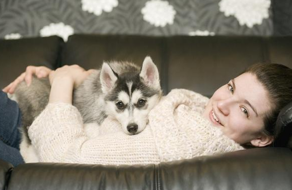 自从养了哈士奇之后，家里就发生了这五个变化，我开始有点后怕了