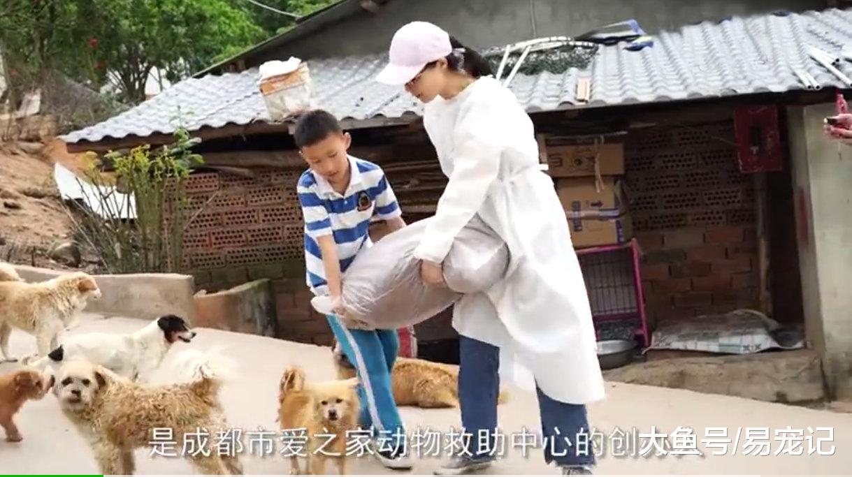 富商23年救助上万流浪狗，不顾家人反对，花费千万建立救助站