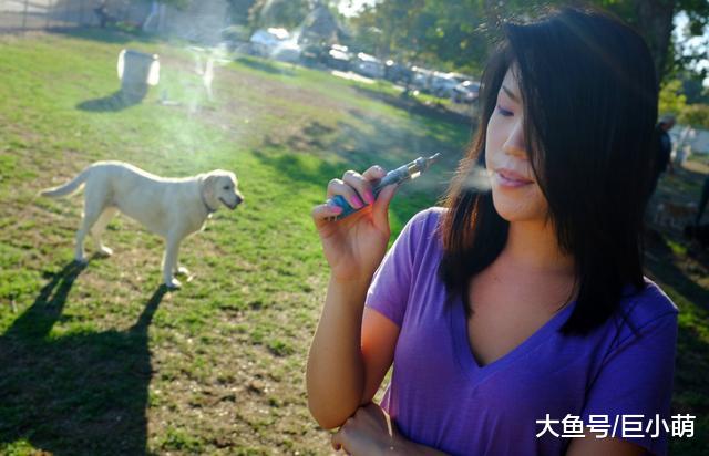 二手烟的危害不仅仅是对人，对狗也有影响，看看你家有无中招