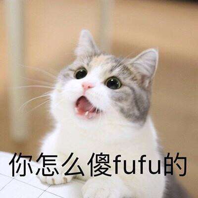 鏟屎官發現貓圈對貓咪特管用，地上隨便一圈就能困住，畫地為牢！