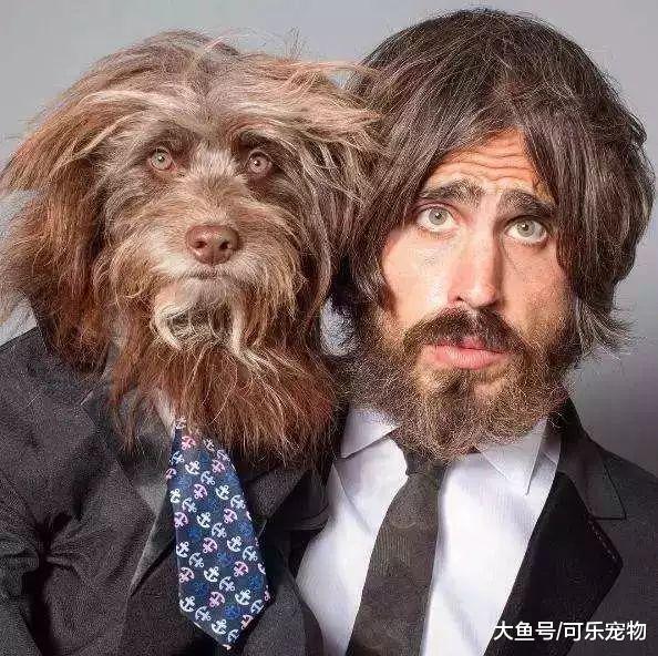 听说养狗时间越长，狗和主人会越来越像，还会带给主人沙雕气质