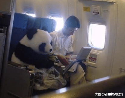 盘点5种最奇葩的乘客，图3素质低，图5让人羡慕！你遇到过几种？