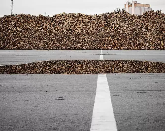 这些图片挺正常的, 看错了, 说明想象力又丰富了