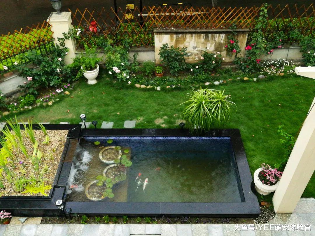 沼泽过滤的另类应用，可以用来赚钱