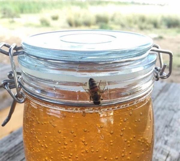 蜂蜜的活性酶是什么样？蜂蜜活性酶都有什么？