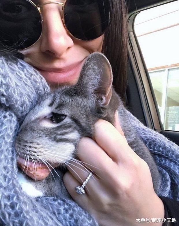 浪猫因肿瘤几乎面目全非，直到这群好心人伸出援手后的改变超感人