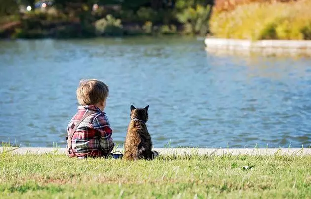 猫，有感情吗？真的是骗吃骗喝骗感情？