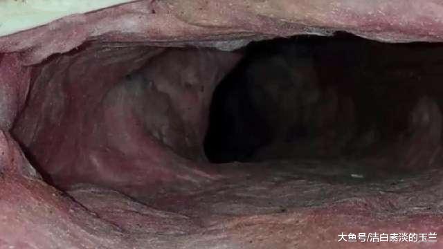 男子睡觉时发现屋顶老有动静，拆开顶板后看到里面的东西不淡定