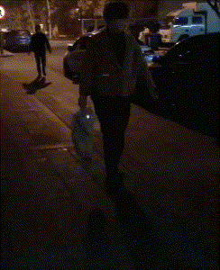 大妈提着猫咪走夜路, 一看猫咪的眼睛, 网友笑喷: 哪买的手电筒?