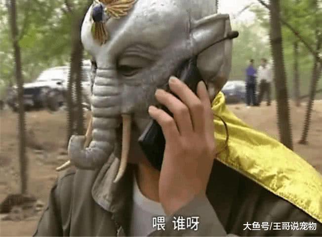 你所不知的《西游记》！猴哥被吊在半空，黄牙老象在打电话，唐僧开的一手好车