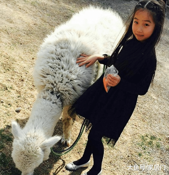 带你参观高晓松住的豪宅，书房堆满了书籍，难怪这么有才了