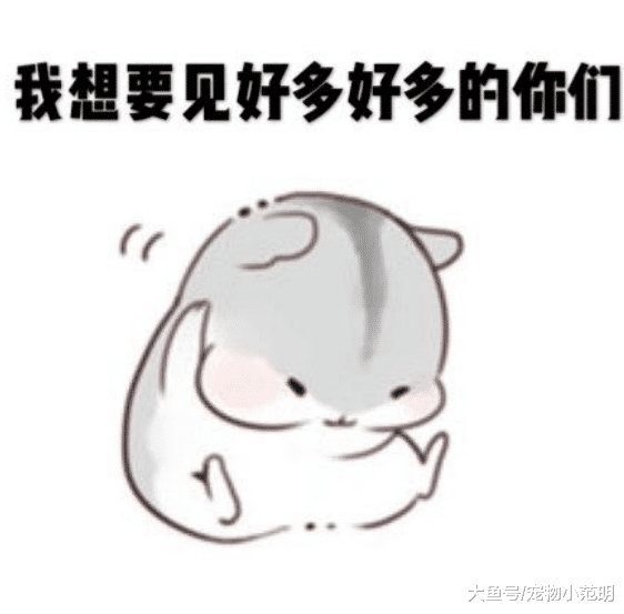 内部人员极力吐槽王源“简直作死了”多次要求磨皮，经纪人还经常爆粗口！