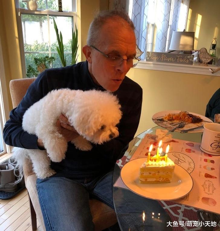 曾反对养宠物的父母，现对它们宠爱的程度让我觉得自己不是亲生的