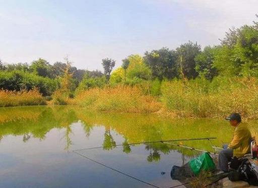 别不听劝，野钓别选这“3处”钓位，谁钓谁空军，若是学会这招，鱼不上钩都难