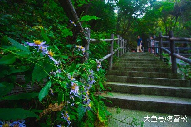 做一个真实的自我