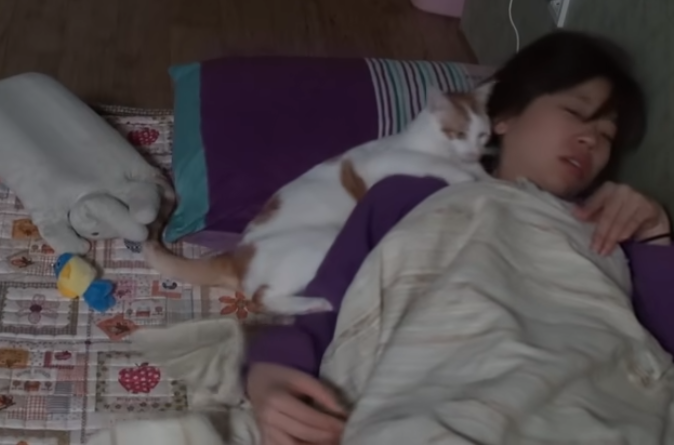 猫咪白天乖巧可爱晚上却化身恶魔疯狂袭击主人，主人说了一句话