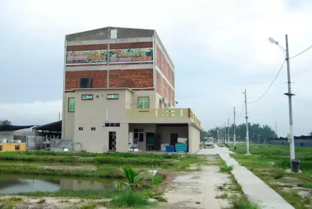 土豪家別墅后的龍魚池，滿滿都是紅龍的背影，這就是魚友的天堂啊