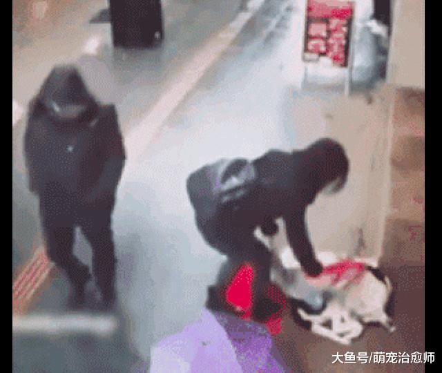 流浪狗被冻得蜷缩在超市门口, 路过小姐姐解下围巾为它盖上, 好暖