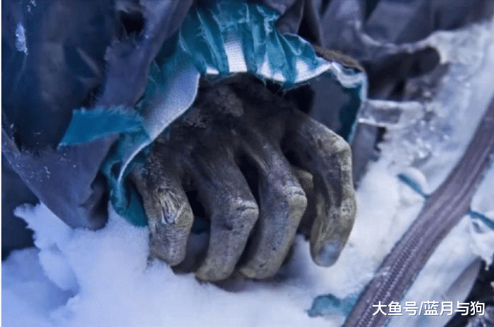 专家对“珠穆朗玛峰上有多少尸体”做出统计，网友：再也不敢去了
