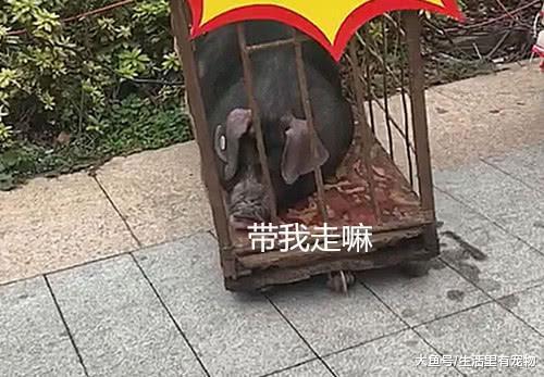 小哥哥运气爆棚, 抽到超市一等奖, 可看到实物后撒腿就跑!