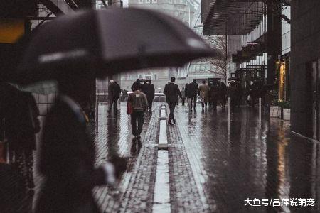 人生不如意时，常做这两件事，福报自然来