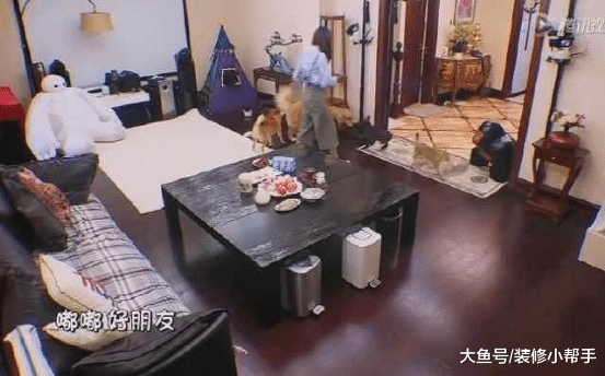 张歆艺的豪宅内景曝光，地板瓷砖铺得很特别，养了好多宠物