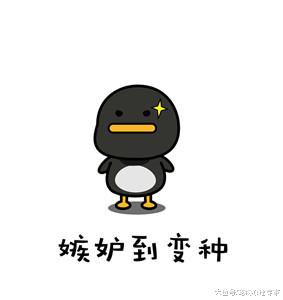 狗狗被拖去做生意，明码标价“20”元，这样的狗给我10条