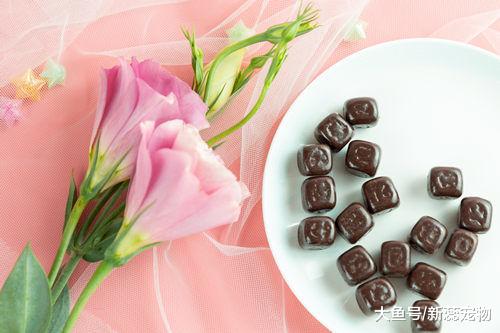 12星座专属座右铭 12星座该懂的小道理