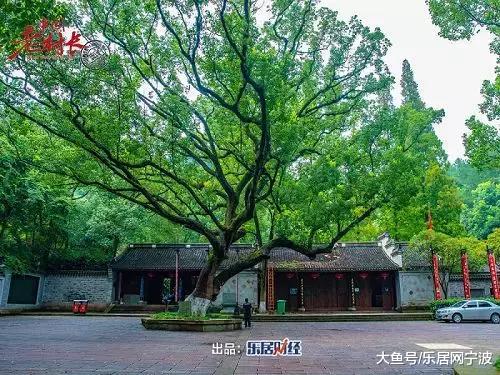 【中国老村长】荪湖花海畔，千年古寺边，网红村鞍山村是如何炼成的