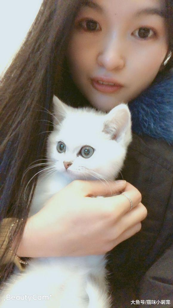 美女买了一只超可爱小猫咪, 却不知道该怎么喂养!