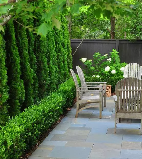 买了一楼带小院的房子，太后悔……