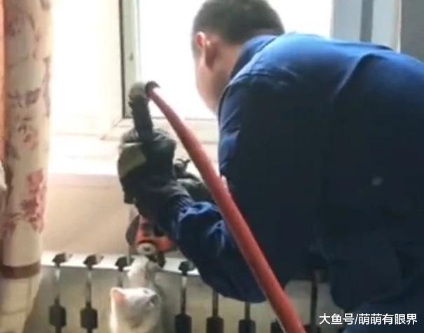 淘气小奶猫前腿卡暖气片出不来，看到消防员前来营救：你们可算来了，疼死宝宝了
