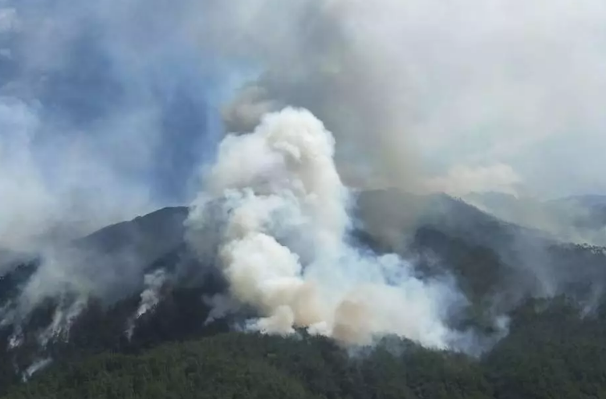 凉山重现火光，30名烈士英魂犹在，网友评价必须大力处罚