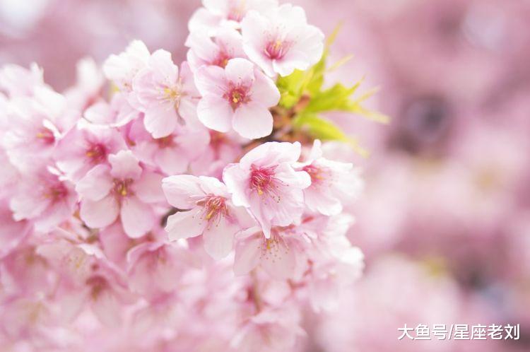 10月大吉大利，财神加持，贵人撑腰，3生肖财运旺，赚的满满当当