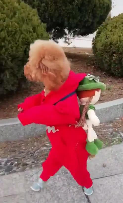 清晨在公園偶遇紅衣小孩，網友看著不對勁，走近一瞧：怎么是條狗
