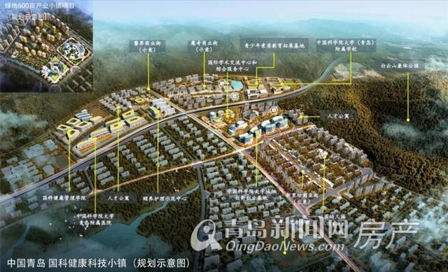 名师专访|“高考战神”王金战：国科大附属学校落户城阳 打造青岛“衡水中学”